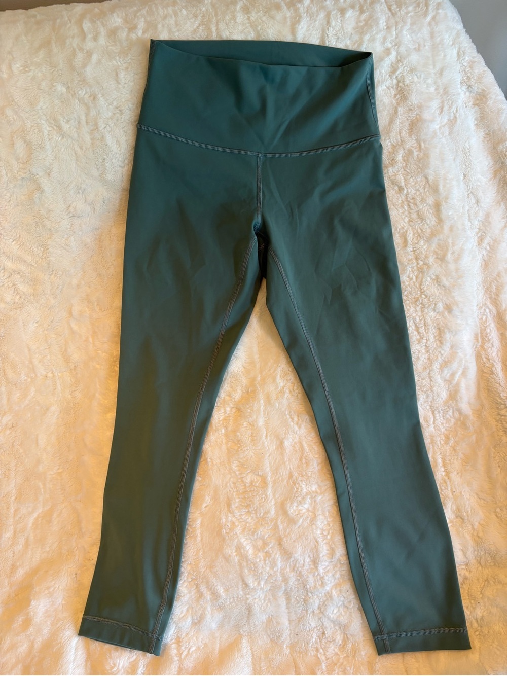 Lululemon Leggings in Deep Teal (green)